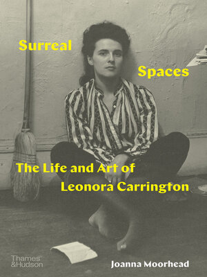 cover image of Surreal Spaces